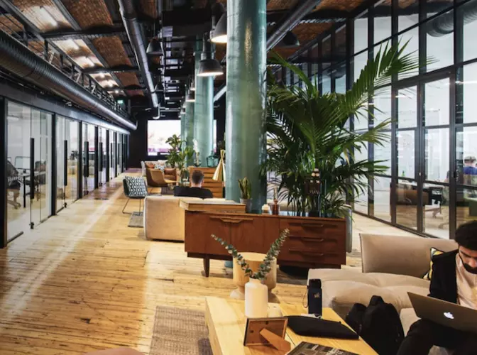 The main co-working area with plants and desks