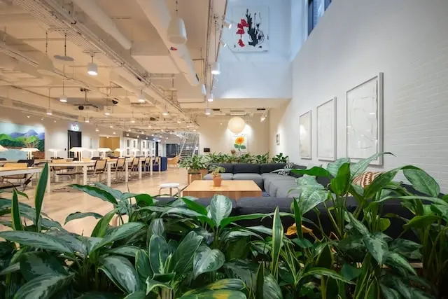 Copy of LG whole floor-min.jpg