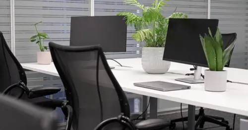 Thumbnail image of Stamp Exchange