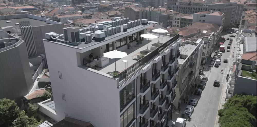  in Vertical Coworking Firmeza