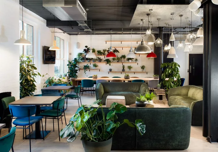 Coworking and dining area in Uncommon Highbury coworking venue filled with loads of plants hanging on the walls and blue and green chairs