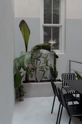 Outside area in 22 King Street