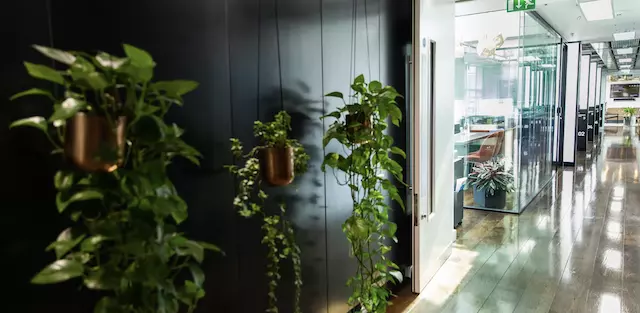 Coworking area and breakout space in LABS Triangle