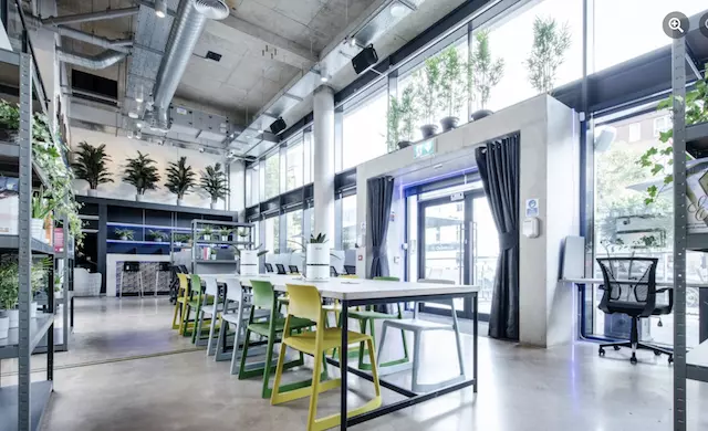 The coworking area of Hubflow Belfast with plants and natural light.