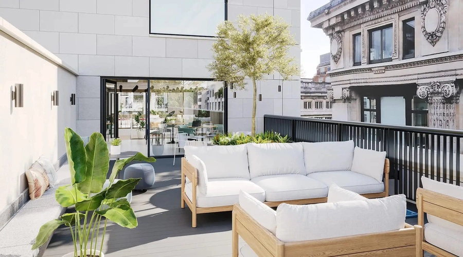 Rooftop terrace at FORA 14 Bird Street office space with white cushioned sofa seats and green potted plants and a tree in the background