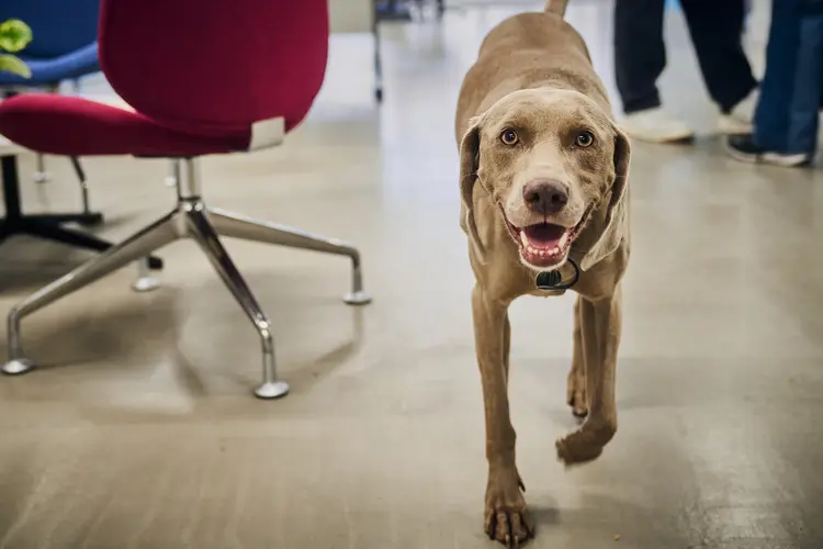  in Town Square Kingston