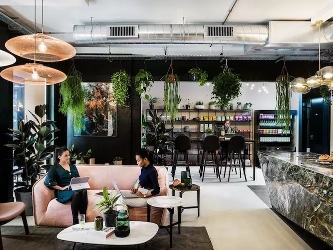 Two women working on their laptops at the Uncommon Fulham coworking area filled with hanging green plants