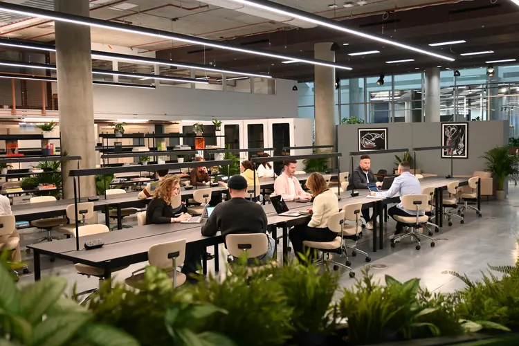 Coworking (looking back across the space).jpg