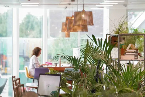 Thumbnail image of The Curious Lounge