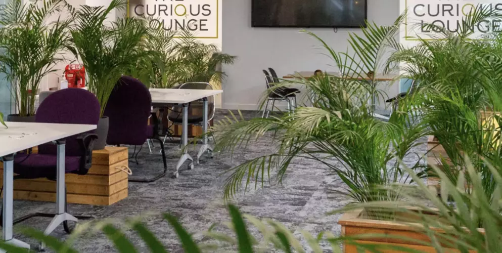  in The Curious Lounge