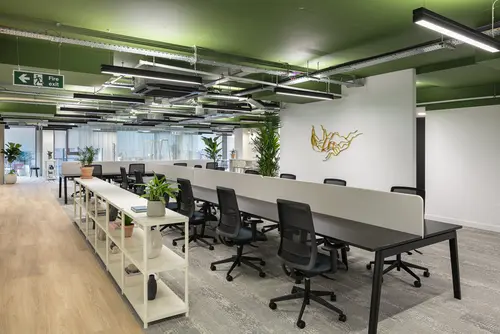 Thumbnail image of The Landing