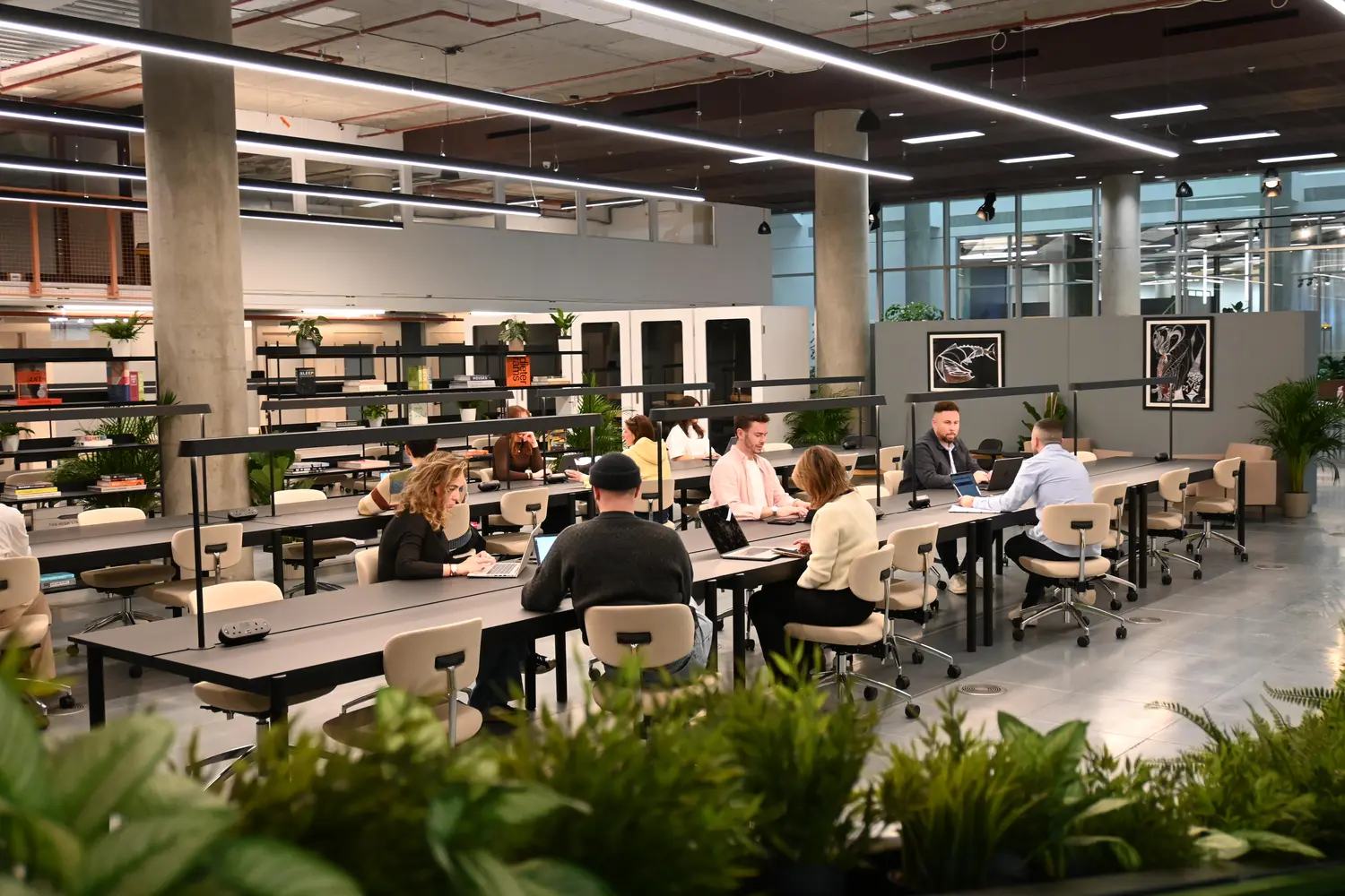 Coworking (looking back across the space).jpg